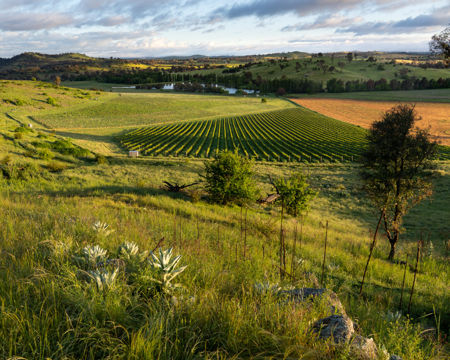Poachers Pantry video thumbnail